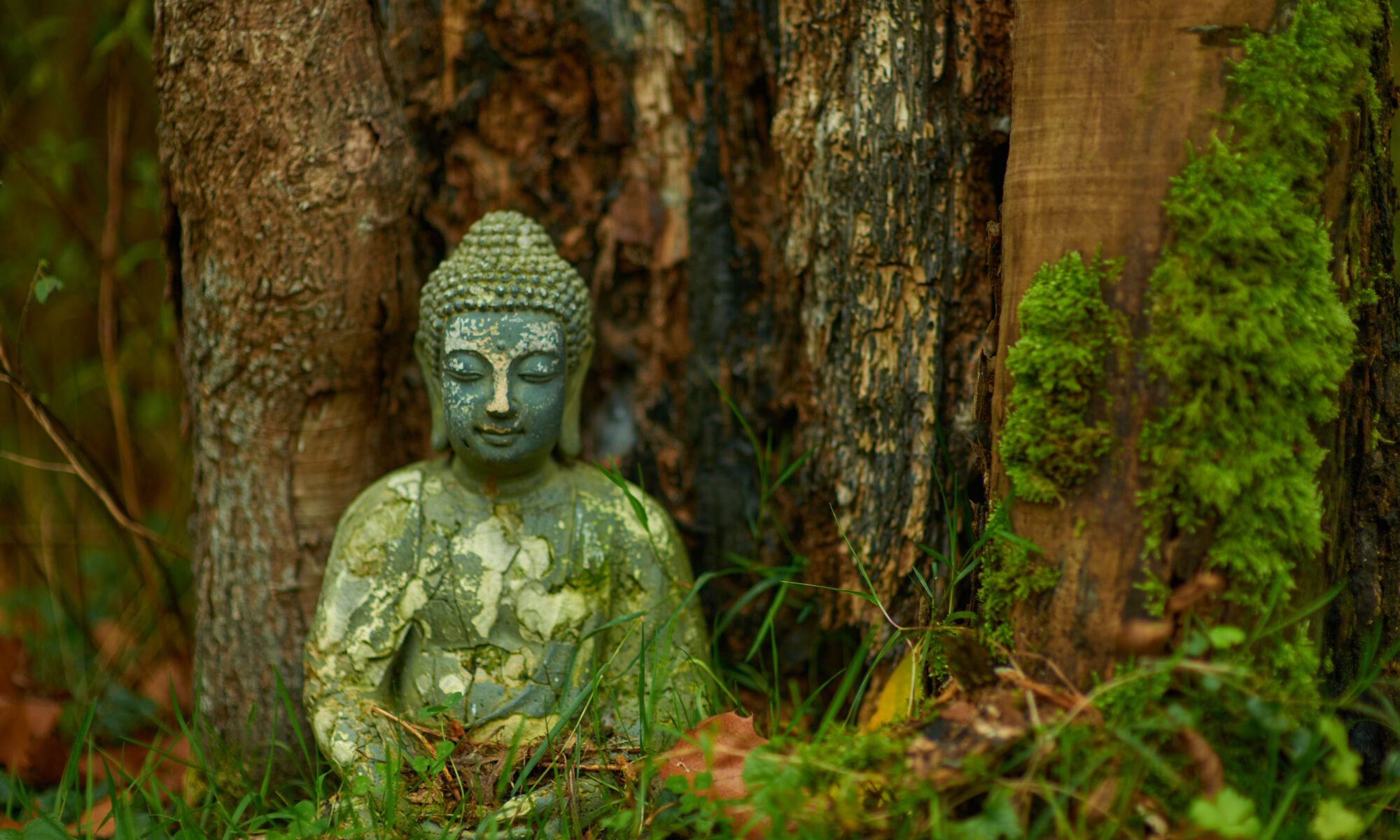 Yoga Retreat Pfingsten 2026